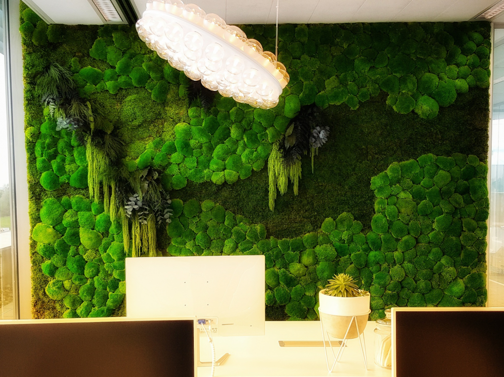 Make Your Own Moss Wall Decofleur