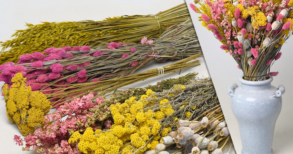 Trockenblumen | Getrocknete Blumen