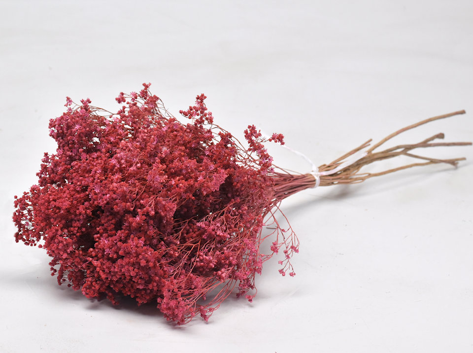 Dried Flowers Red 