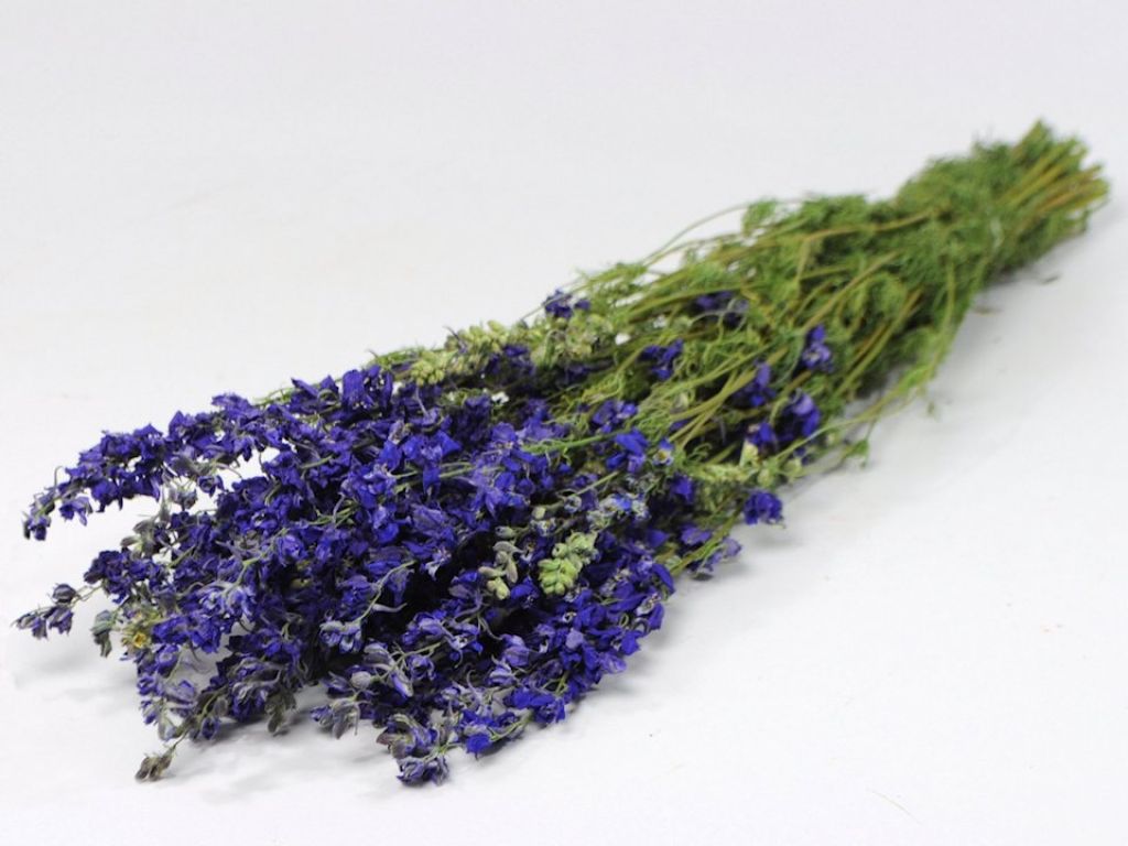 Dried Flowers Blue 