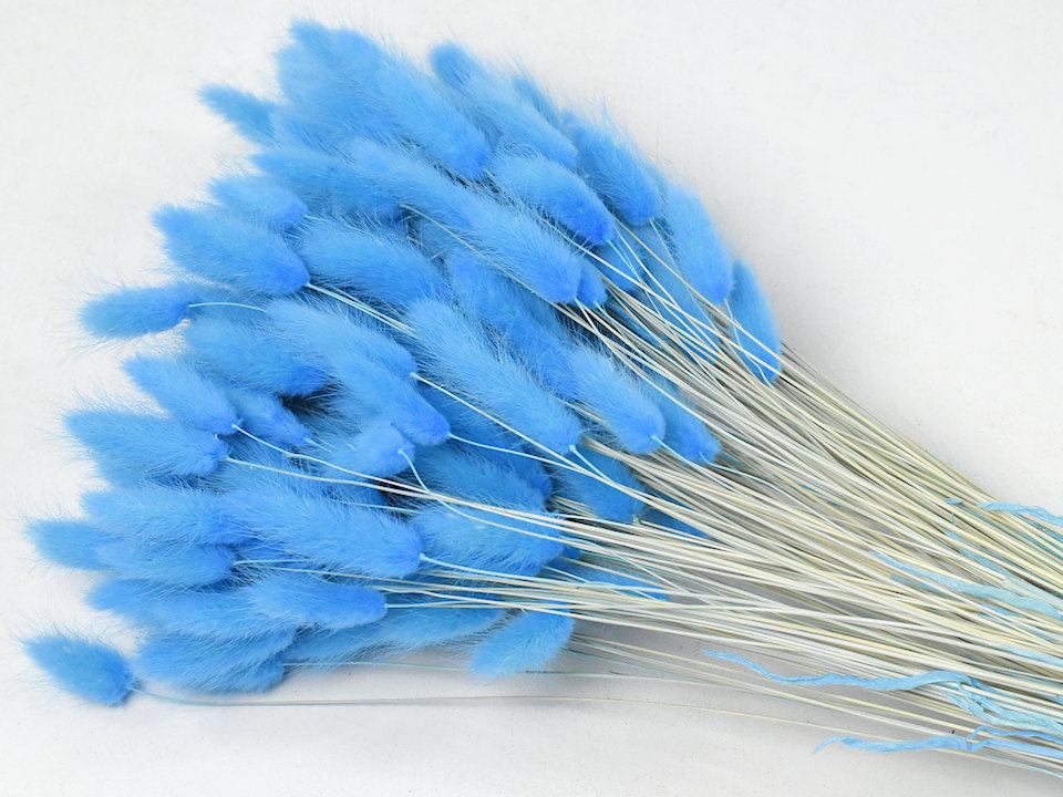 Blue Dried Flowers