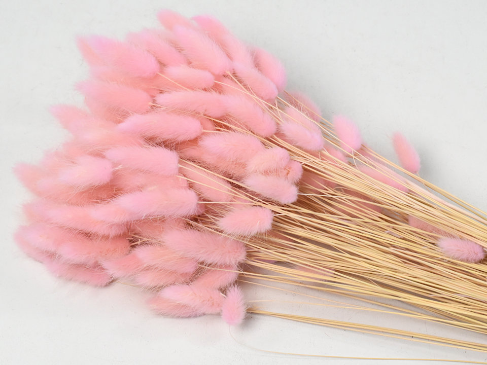 Pink Dried Flowers