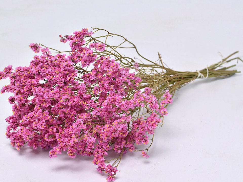 Dried Flowers Pink