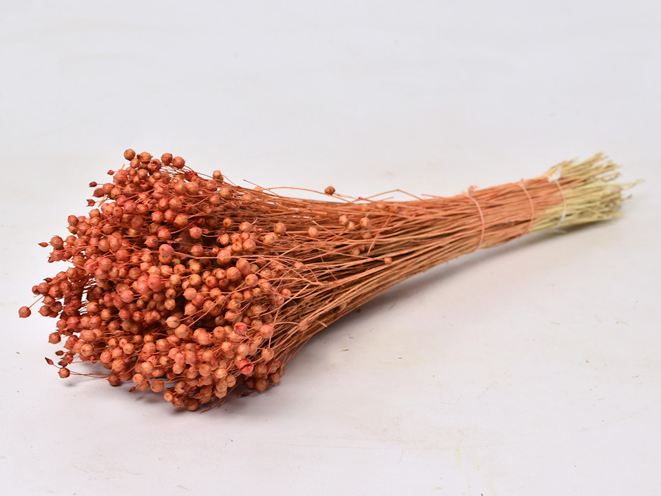 Dried Flowers Orange 