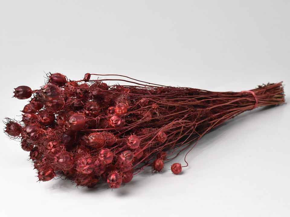 Red Dried Flowers