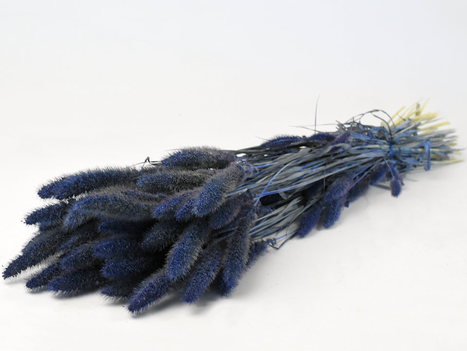 Dried Flowers Blue 