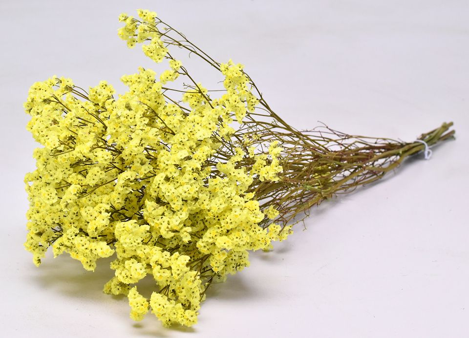 Dried yellow flowers