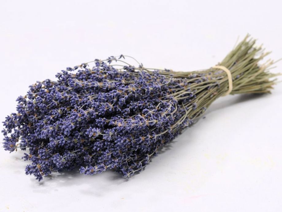 Fleur séchée bleue