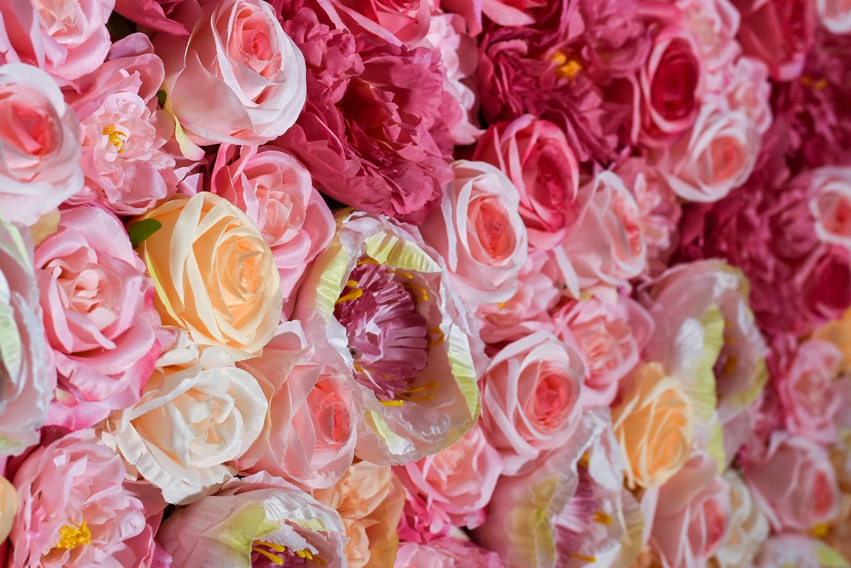 Flower ombre