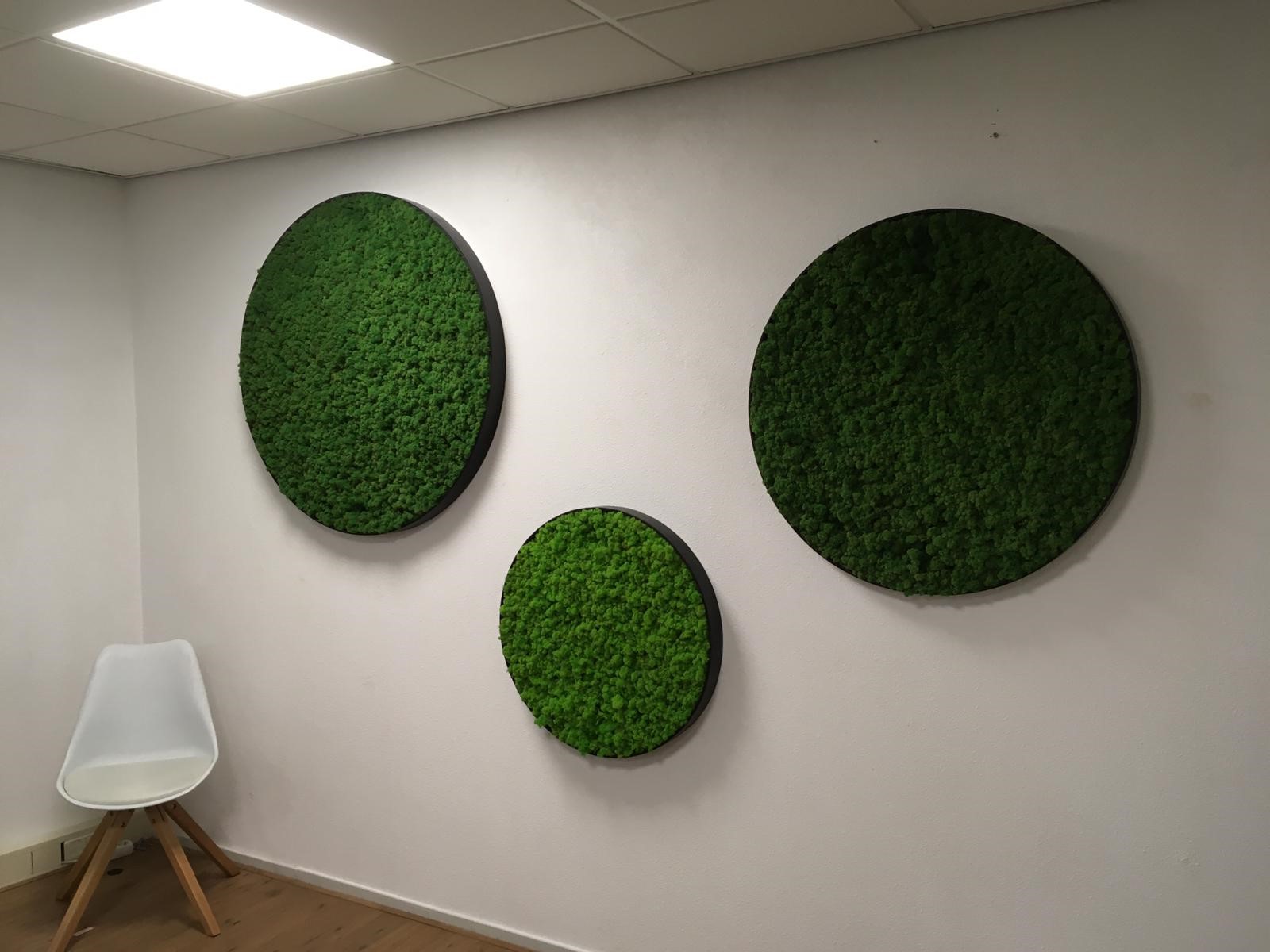 Moss wall