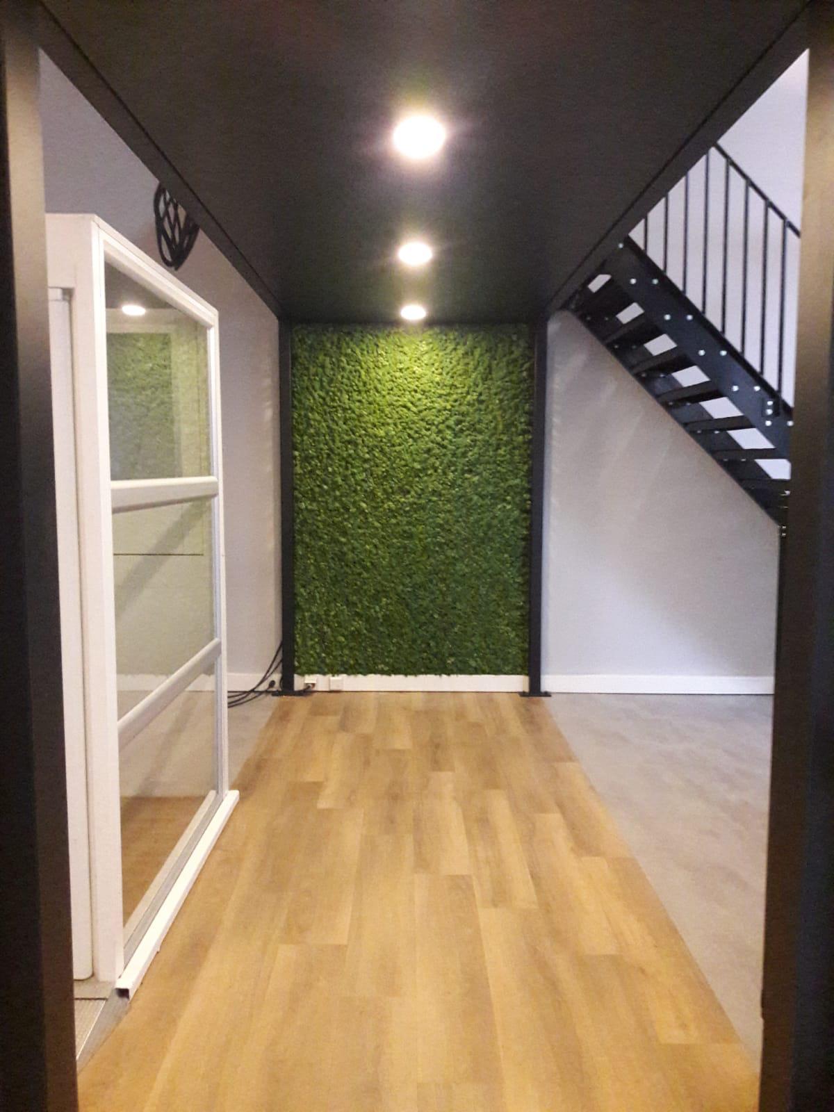 Moss wall
