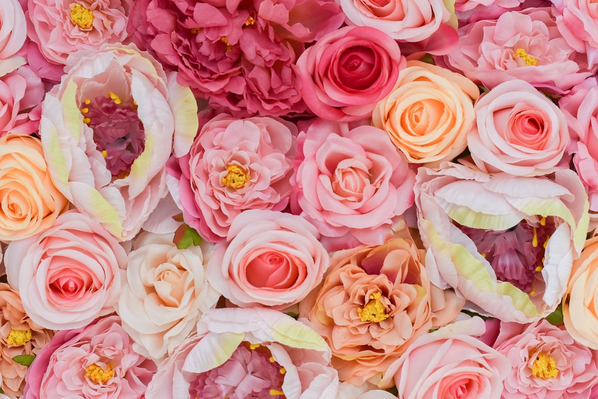Ombre flower wall