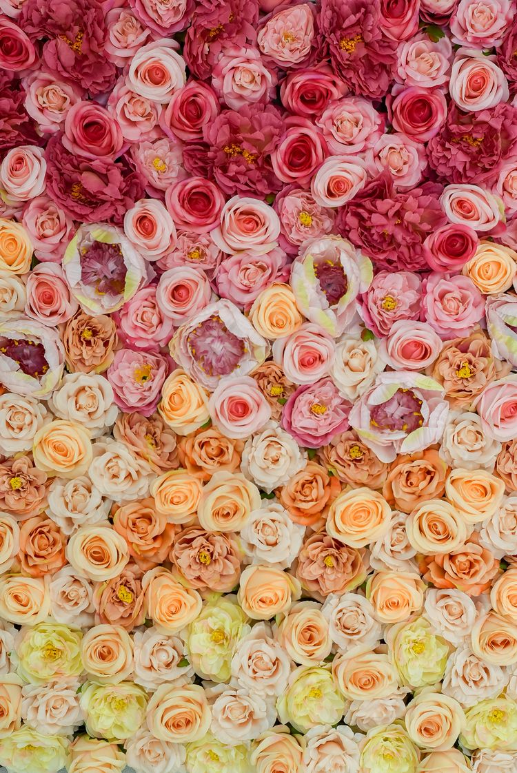 Ombre flower