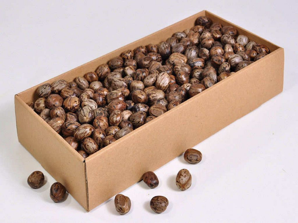 Rubro Nuts 1.5kg.