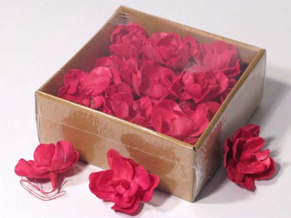 Sola Magnolia 6cm Rood 18pcs