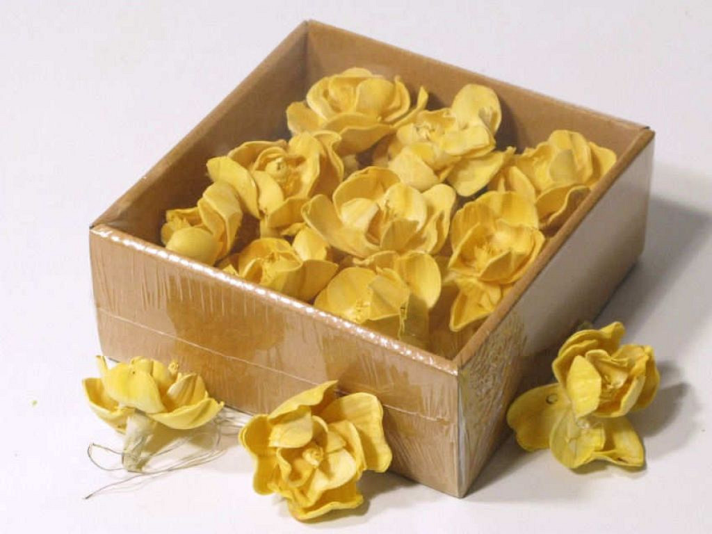 Sola Magnolia 6cm Jaune 18pcs