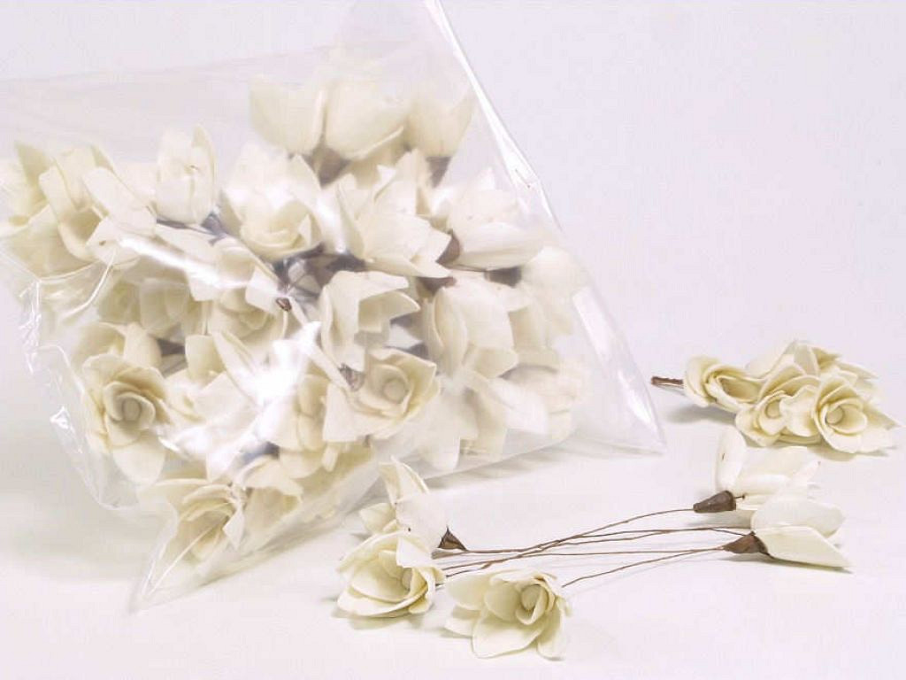 Sola Tulp 6cm white