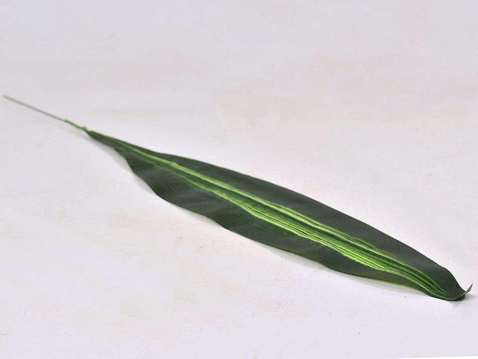 Dracaena Leaf Green 14/62cm