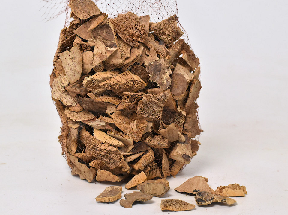 Sponge Mushroom 500gr