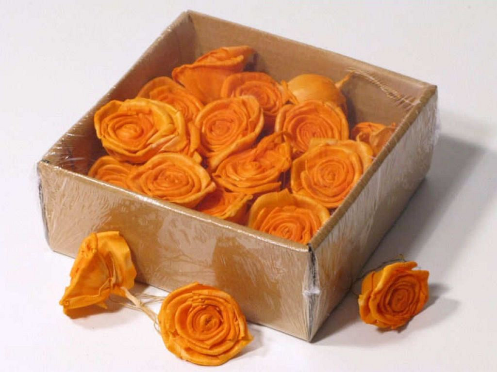 Sola Rose 5cm Oranje 25pcs