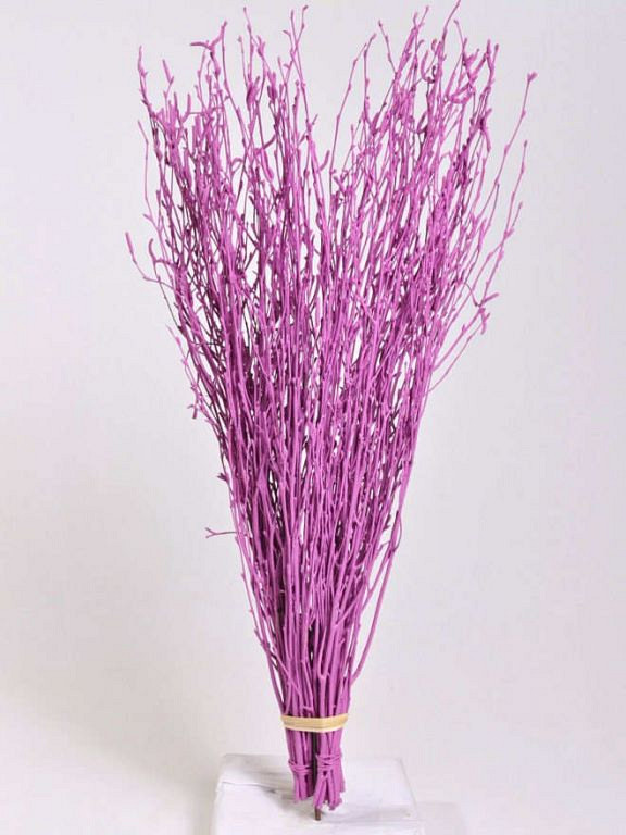Bouleau Ronse foncé 50pcs