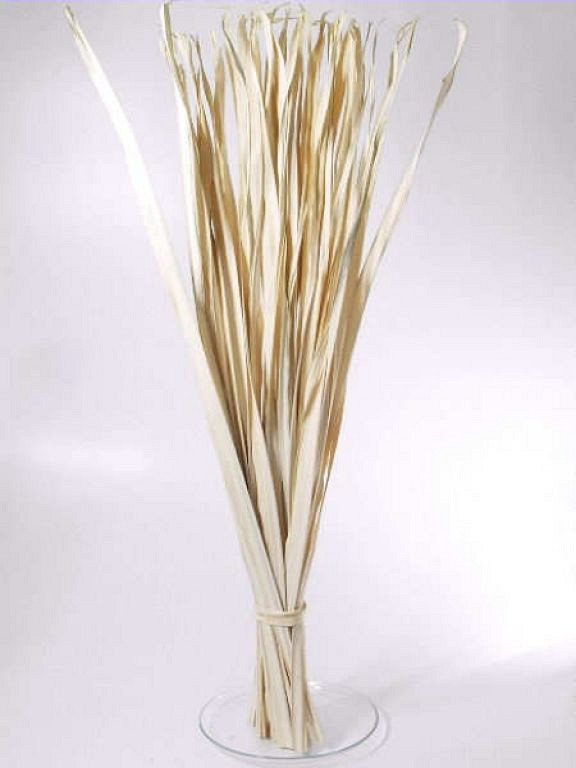 Talipot Palm Leaf Small 50pcs 115cm