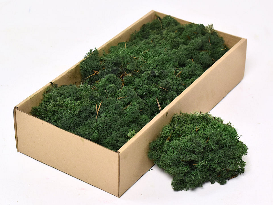 Cladonia stabilisé Vert Foncé 500gr.