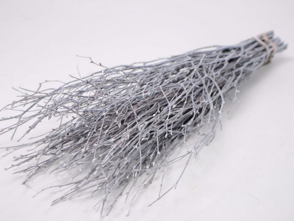 Birch white-wash 60cm 50pcs