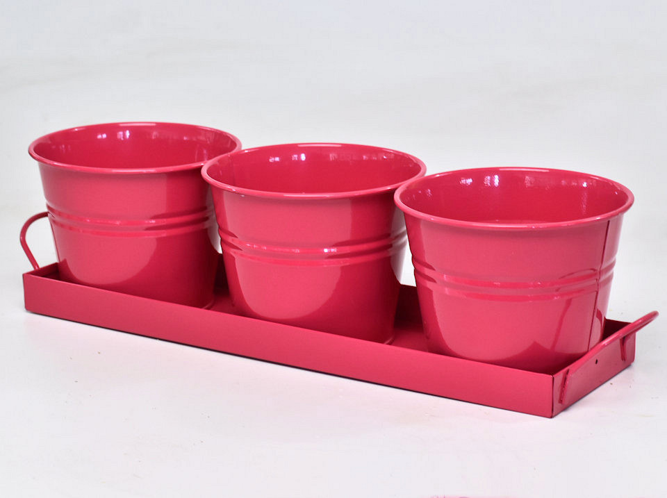 Planteur 3pcs H11cm Framboise