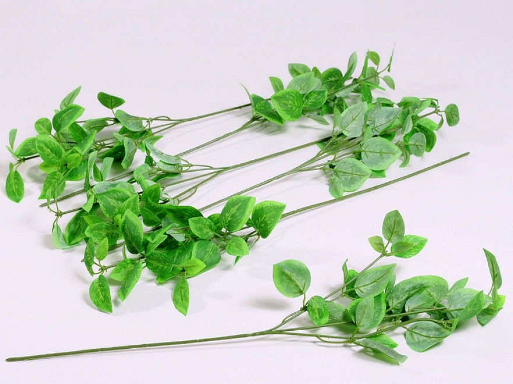 Feuilles Pervenche 45cm vert
