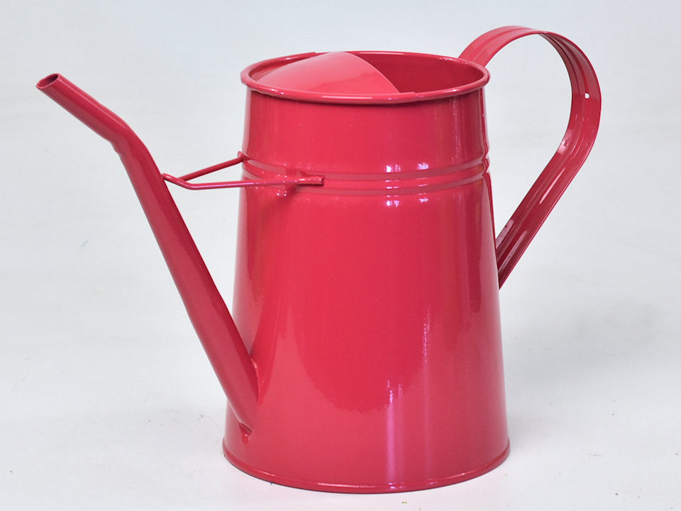Arrosoir H21cm Framboise