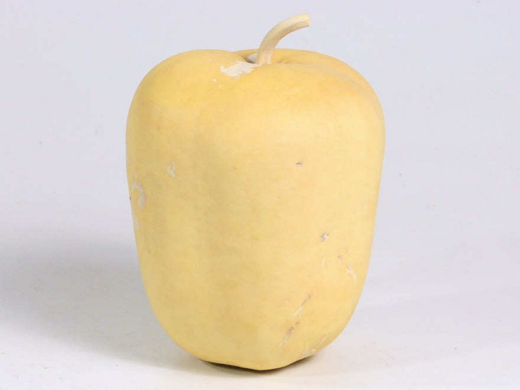 Calabash Apple Bleached 14cm