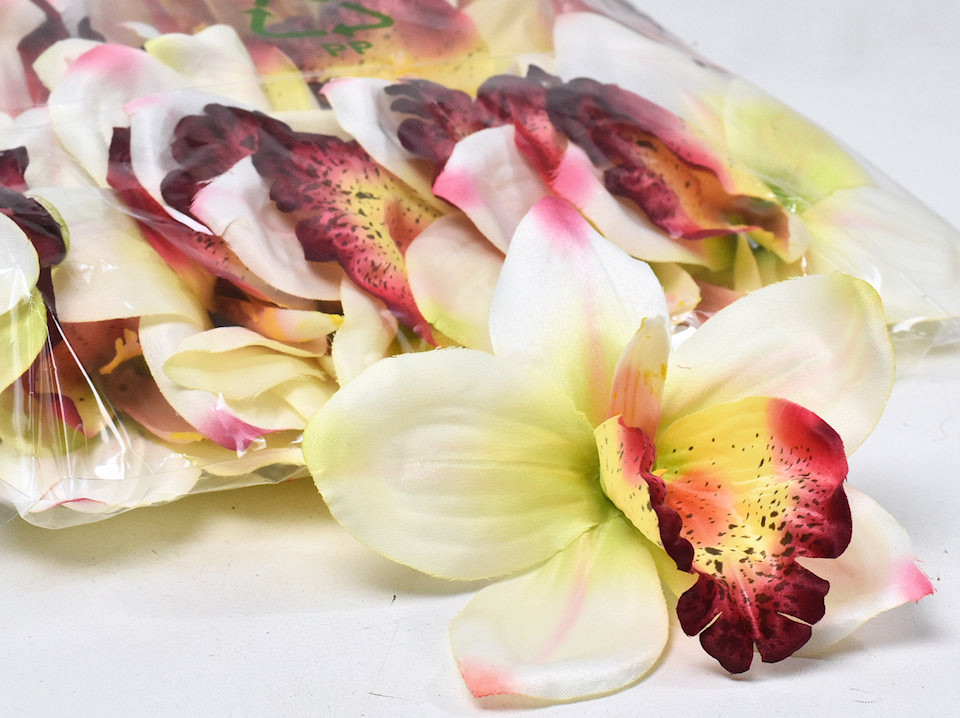 Orchidée Crème/Rouge D14cm