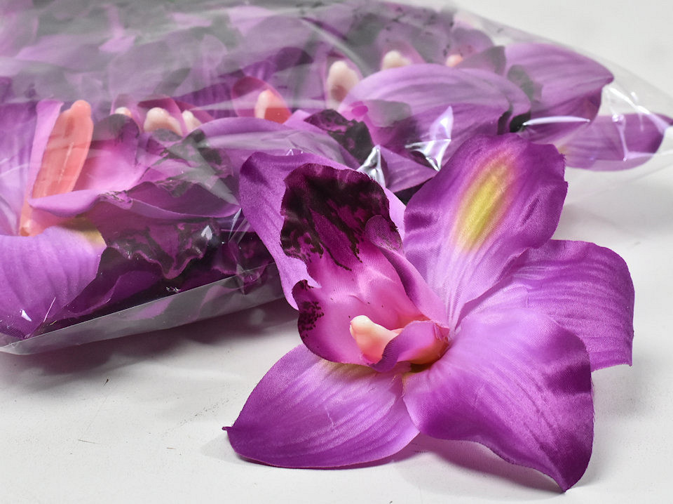 Orchidee Paars D16cm