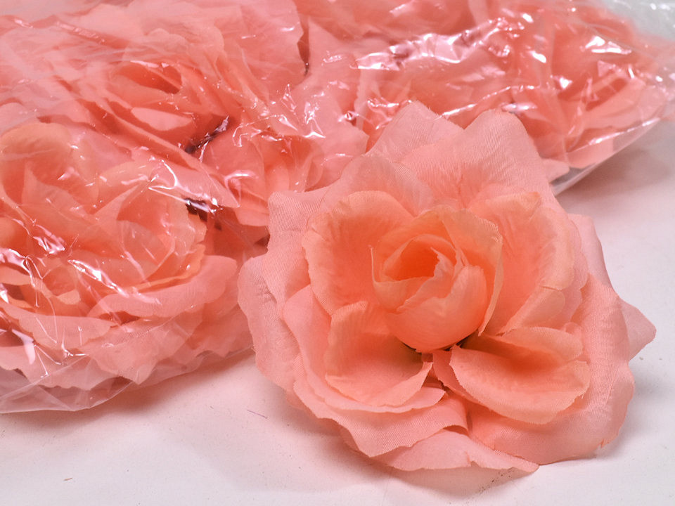 Rose Pêche D10cm 