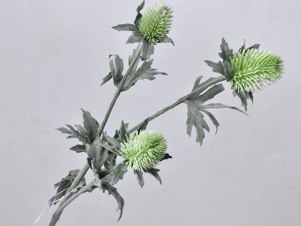 Thistle Spray Green 78cm