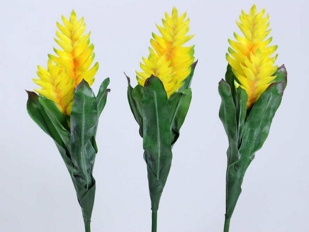 Bromelia 45cm jaune