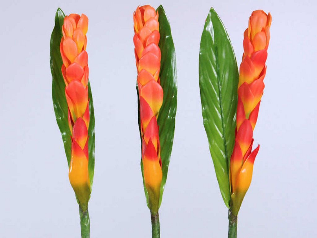 Bromelia 94cm oranje