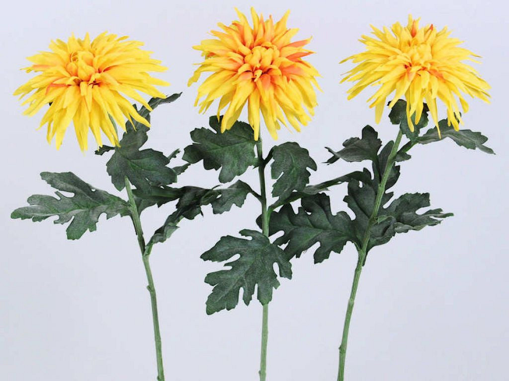 Dahlia Spider 65cm jaune