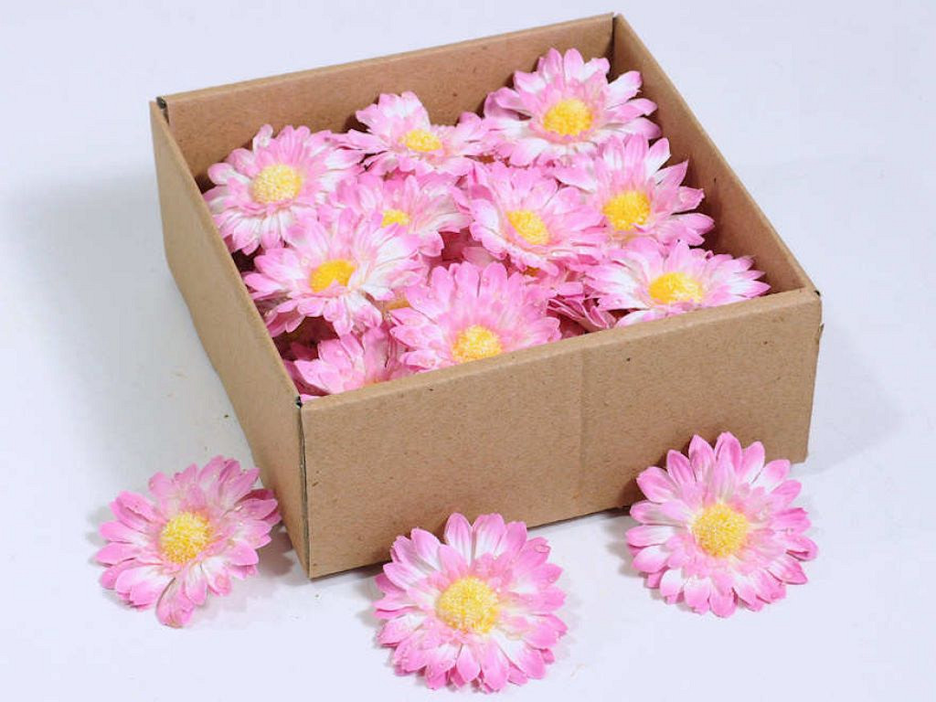 Gerbera 7cm rose 50-Pack