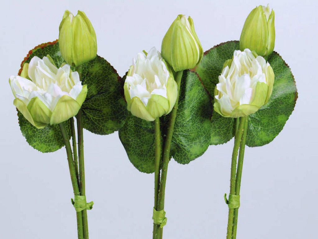 Lotusbloem 80cm wit