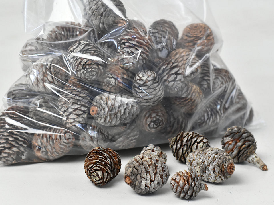 Muri Cones PKG