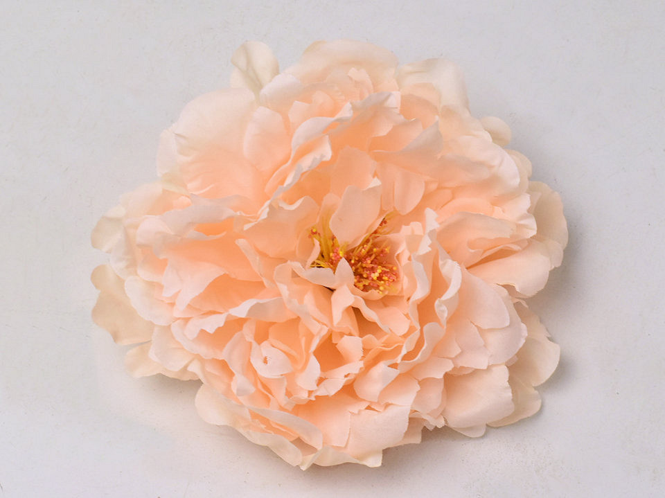 Pivoine Pêche D18cm