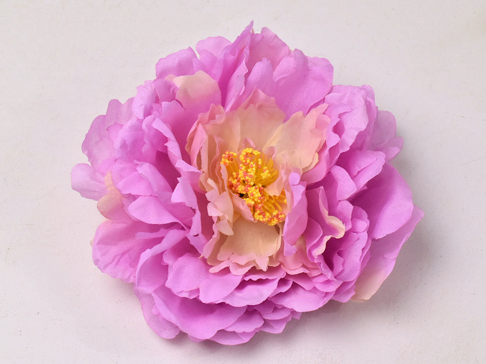 Pivoine Rose D18cm