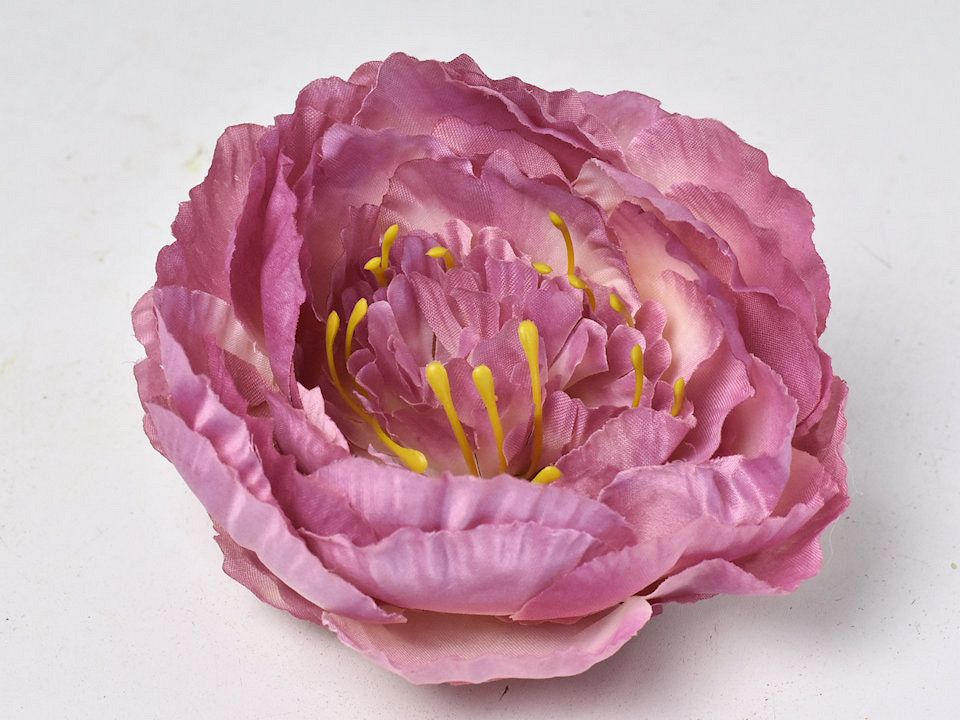 Pivoine D16cm Lila