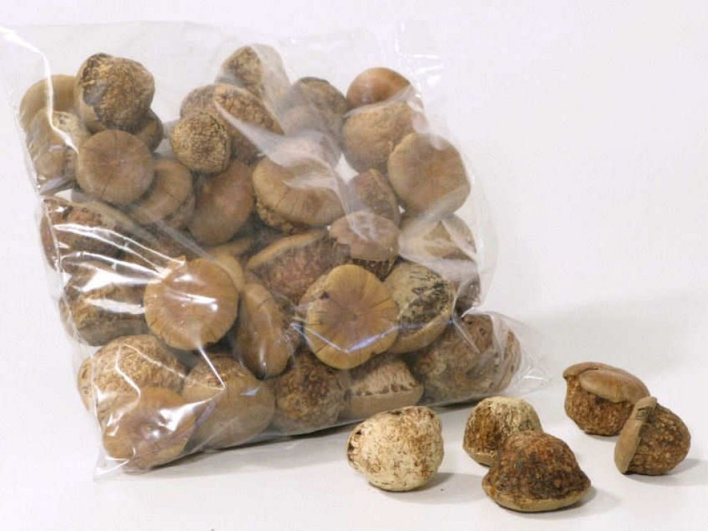 Bloempaddestoel 3-4cm 500gr.