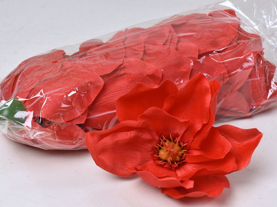 Magnolia D17cm Rood
