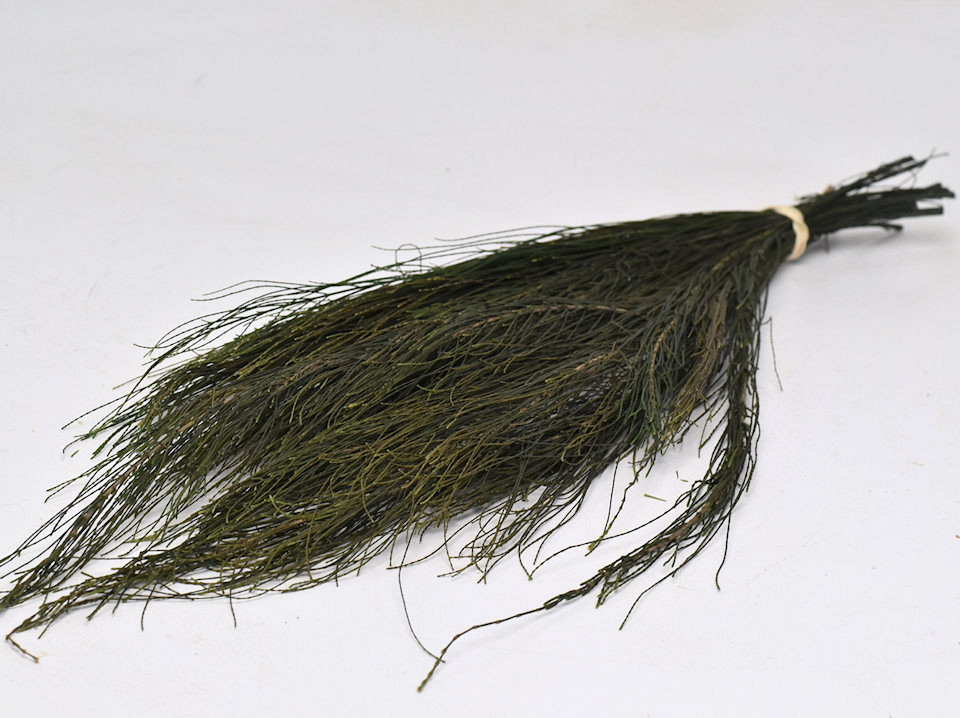 Pine Fine Groen gepreserveerd 100gr