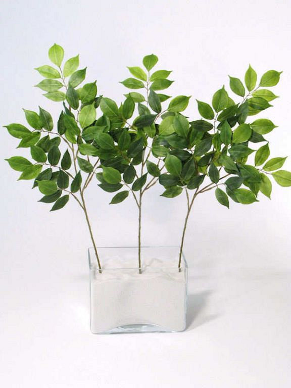 Wilde Lijsterbes 50cm groen