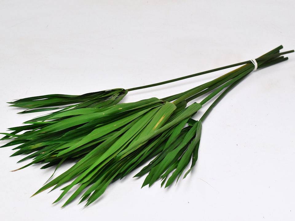 Papyrus Groen gepreserveerd 100gr